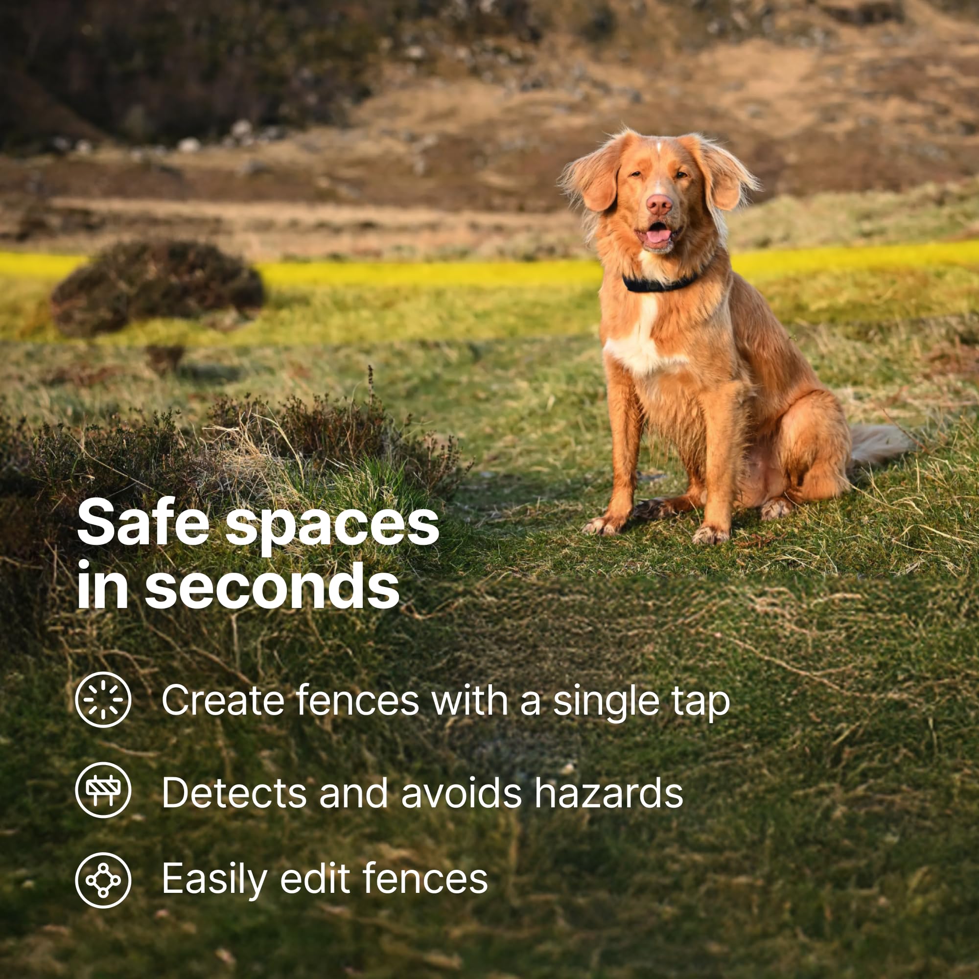 Halo Collar 5 Wireless Dog Fence & GPS Dog Collar, Keep Your Dog Safely Contained Outdoors with App-Controlled Boundaries and Real-Time Tracking, One Size, Midnight - image 4