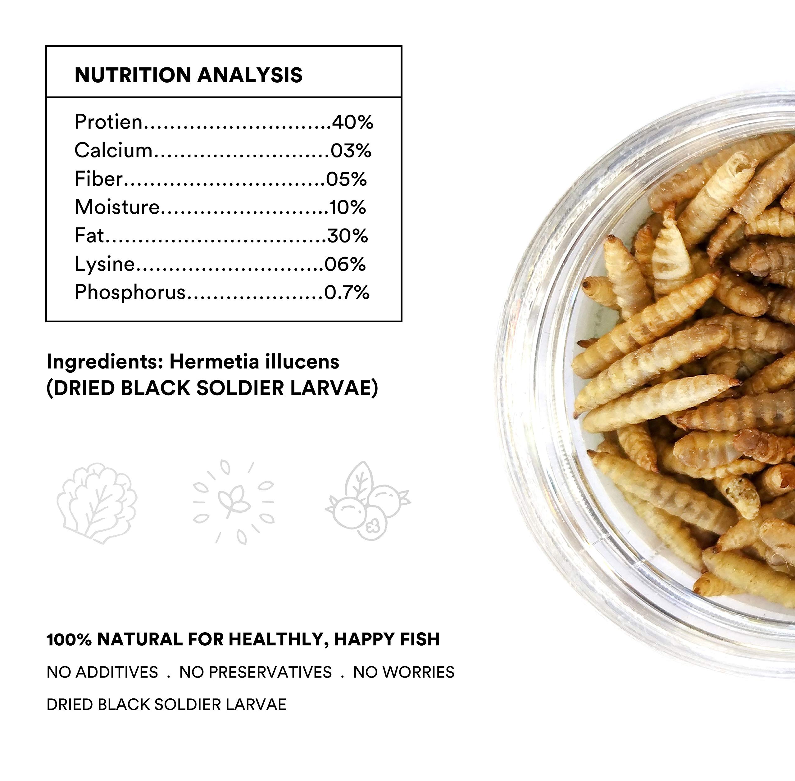 Protyn Whole Dried Black Soldier Fly Larvae Treat Food for Flowerhorn