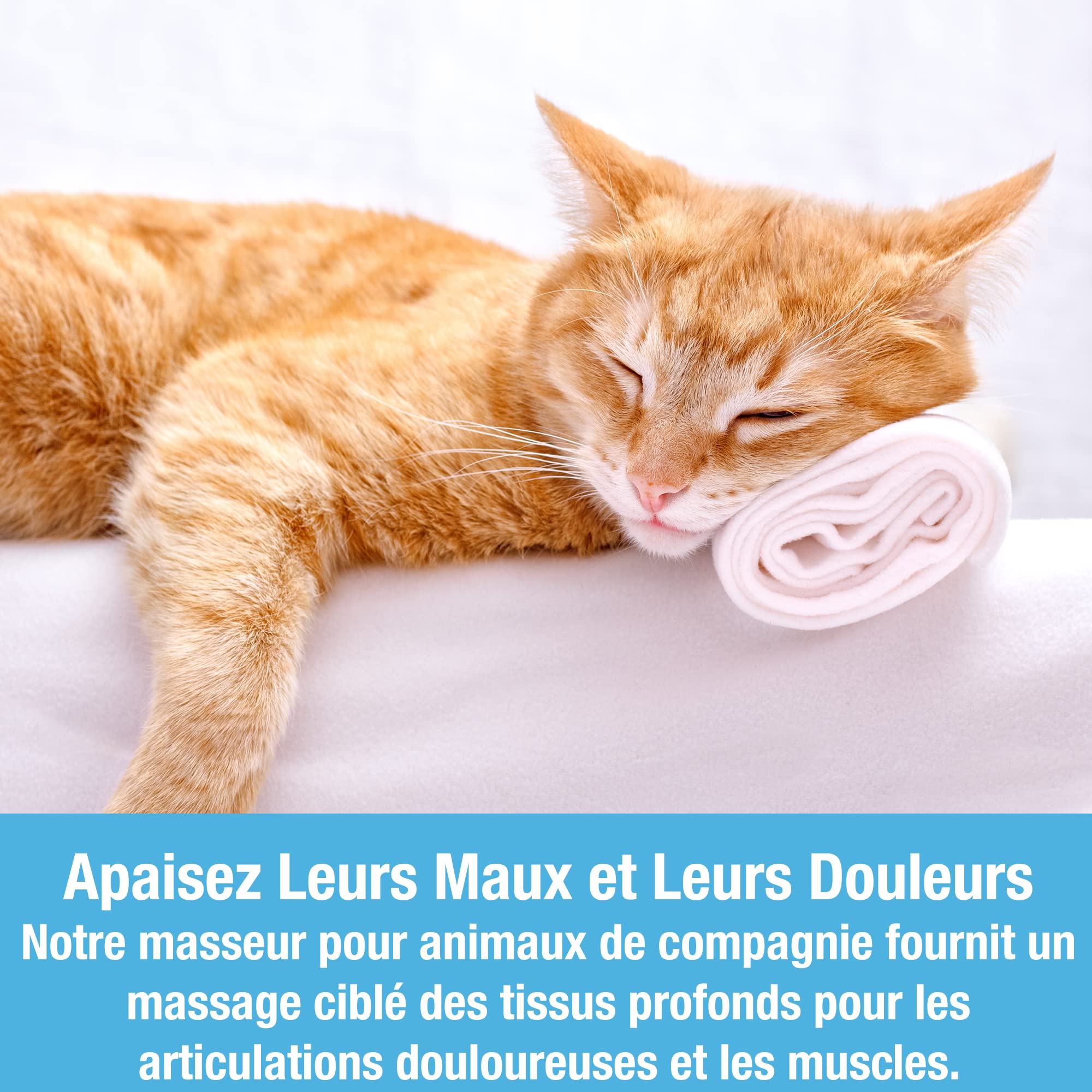 Appareil de massage portatif pour chiens et chats de Tilcare - Outil de massage électrique - Gratte-tête et gratte-dos pour réduire les tensions, les muscles tendus et les raideurs