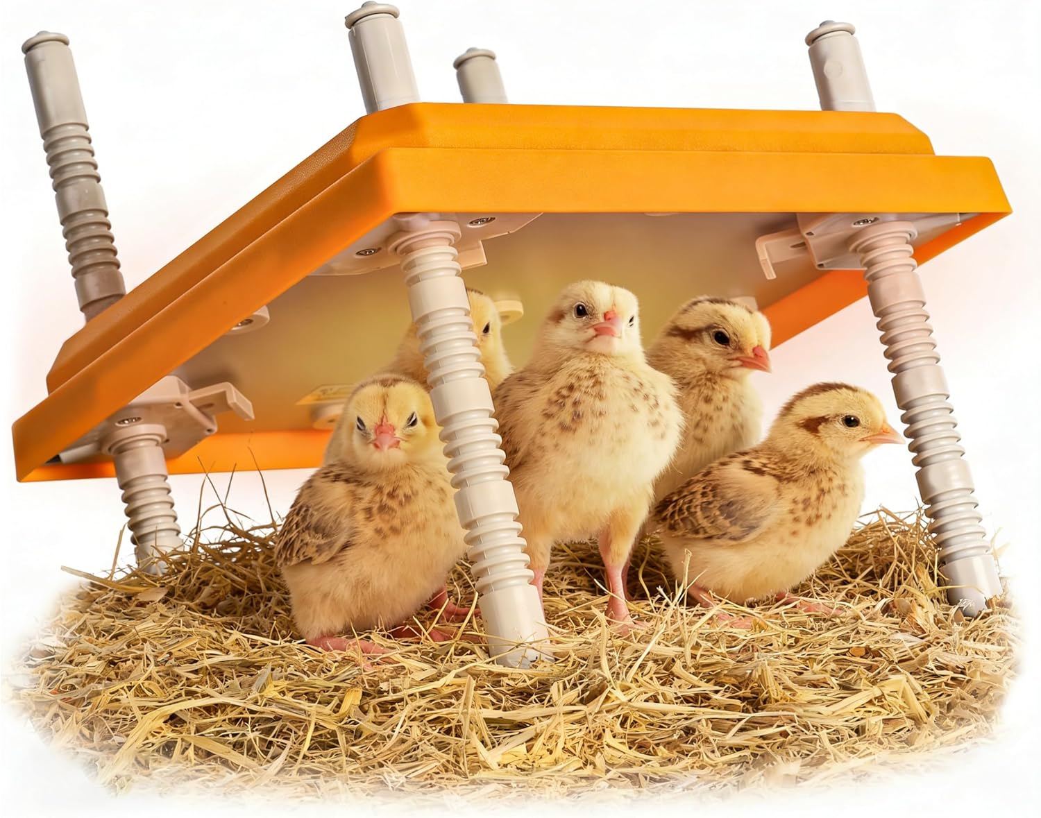 Brooder Box for Chick Starter Kit, Baby Chicken Brooder Pen/Playpen/Tent Pop-Up, Perch Up to 17 Chicks, Kit with Adjustable Heating Plate, Storage Bag, Top Cover, Fixed Pegs, Waterproof Mat, Blue
