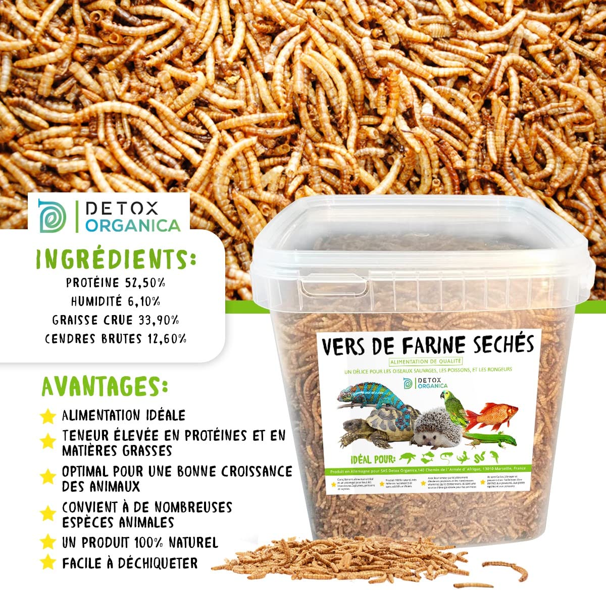 PIKHOO | Vers De Farine Séchés | 2kg Et 5kg | Friandises Pour Oiseaux Sauvages Tortues Rongeurs Reptiles Herissons Poissons