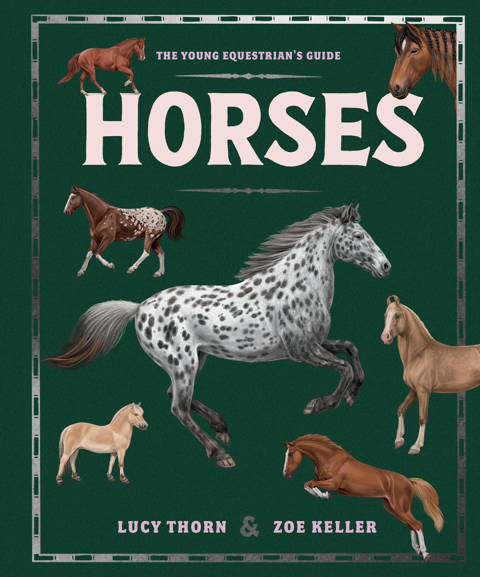 Horses by Lucy Thorn Hardback