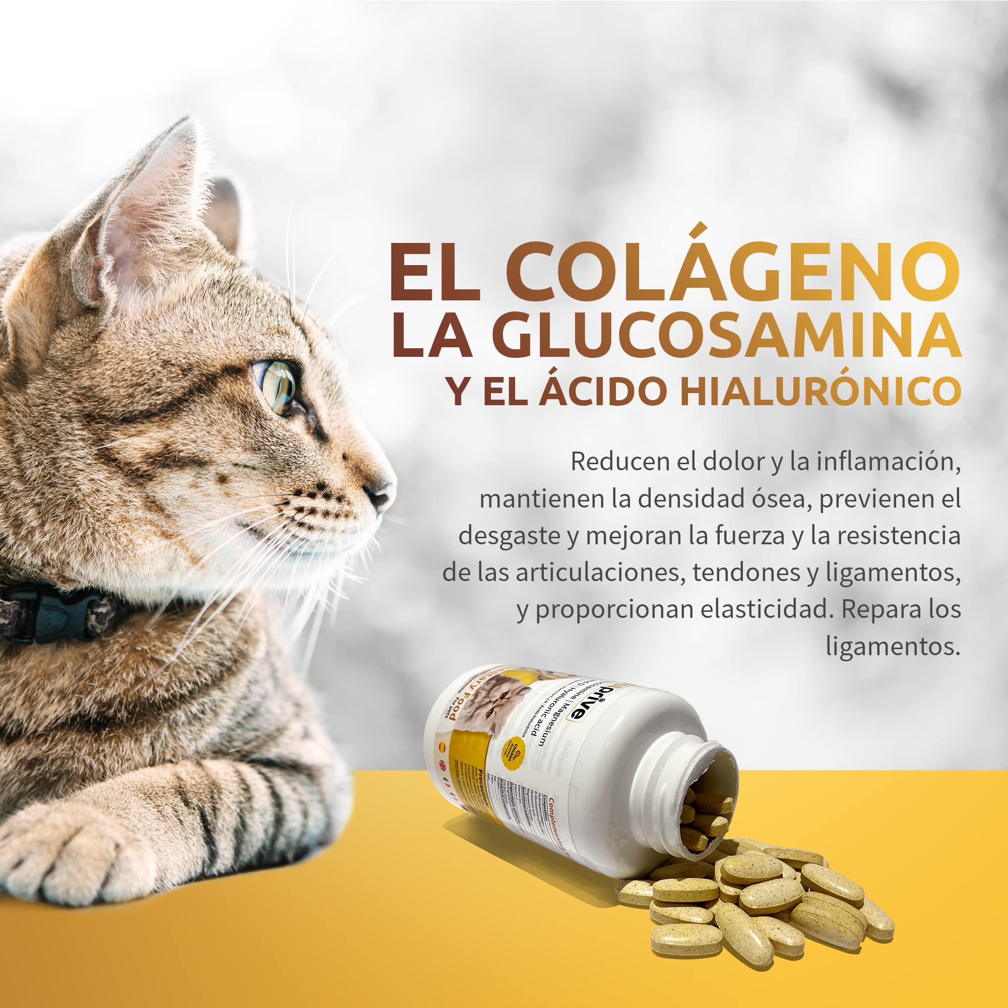 Suplemento Natural Antiinflamatorio Condoprotector para Perros y Gatos con Colágeno Hidrolizado, Glucosamina, Ácido Hialurónico, Magnesio, Vitamina C y D y Garra del Diablo