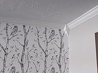 Review Image by KD KD