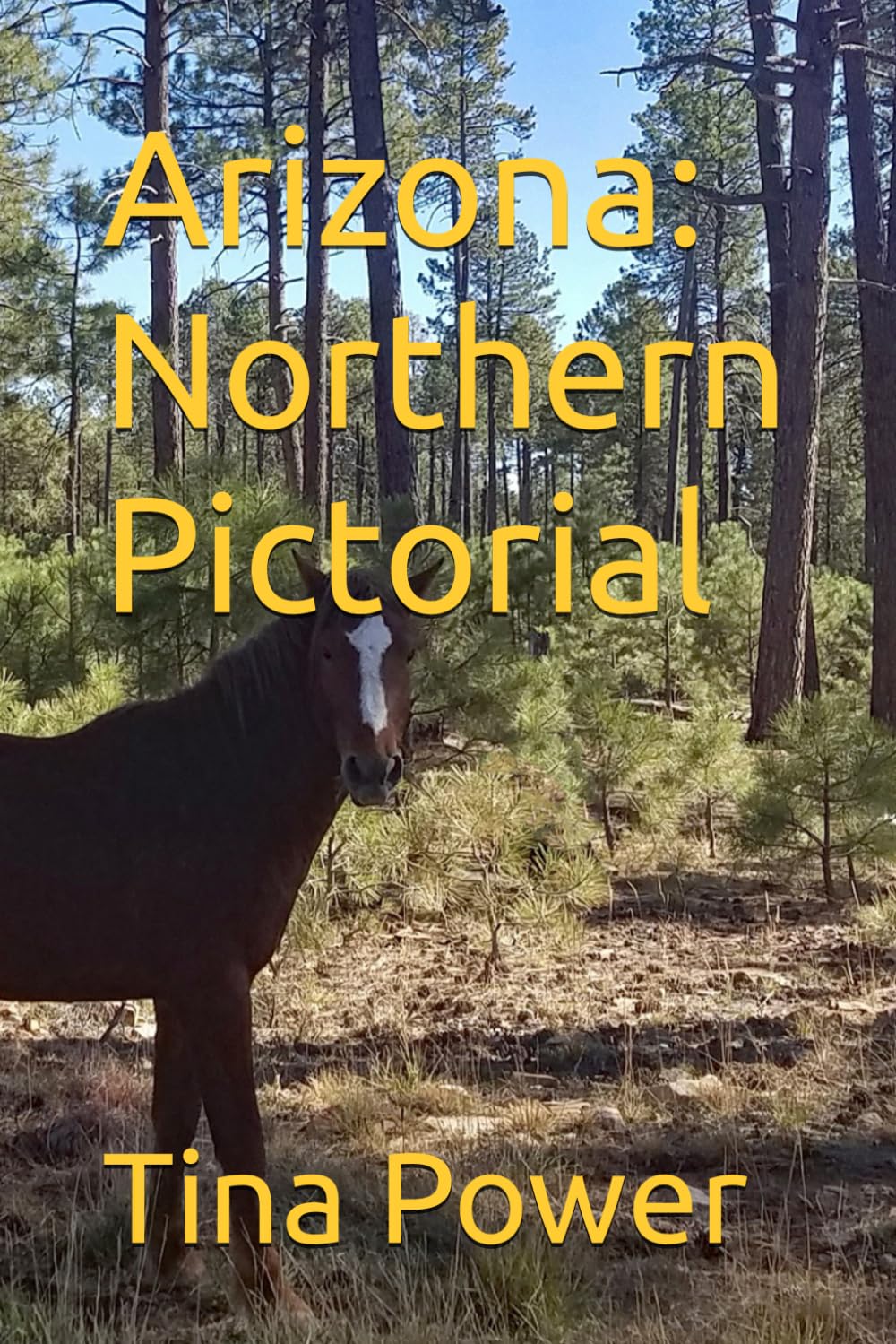 Arizona: Northern Pictorial