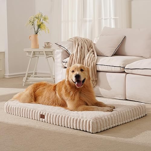 Orthopedic Dog Bed for Medium Dog — main product photo from Amazon listing (ASIN B0FQJJQM6K)