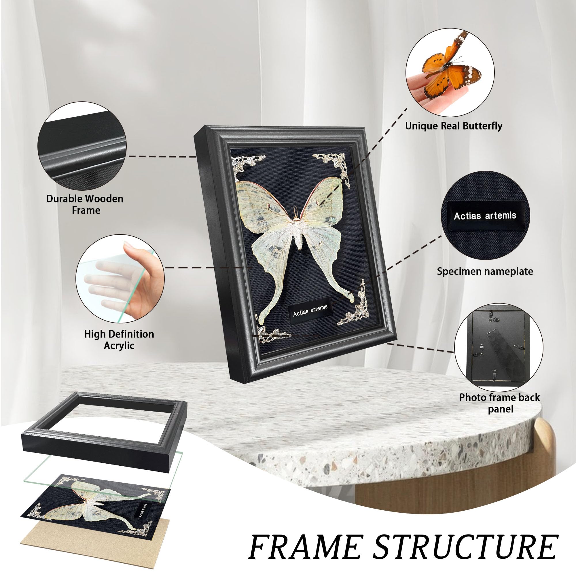 Taxidermy Butterfly Gothic Shadow Box, 6.9'' x 9''  Butterfly Wooden Framed Specimen Display Oddity Tabletop Wall Art Home Decor: Actias Selene