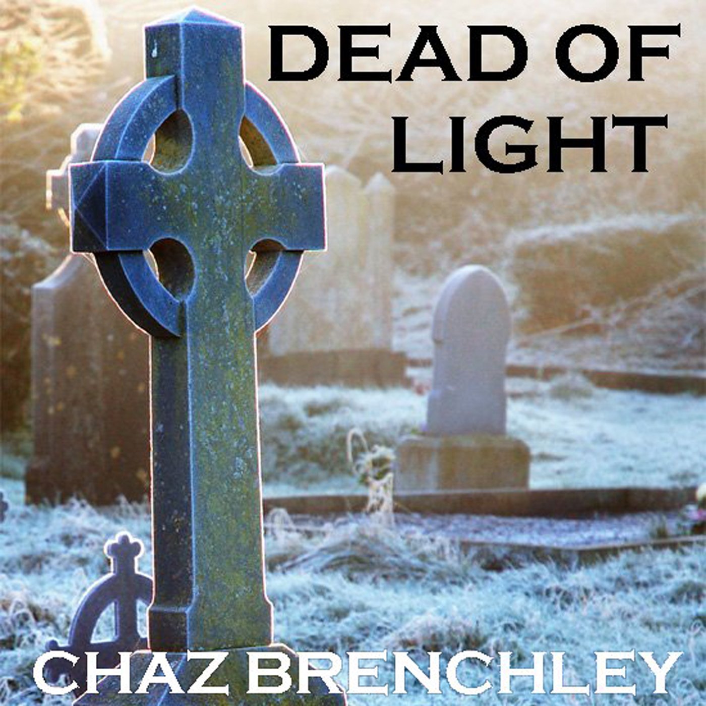 Cover art for Dead of Light