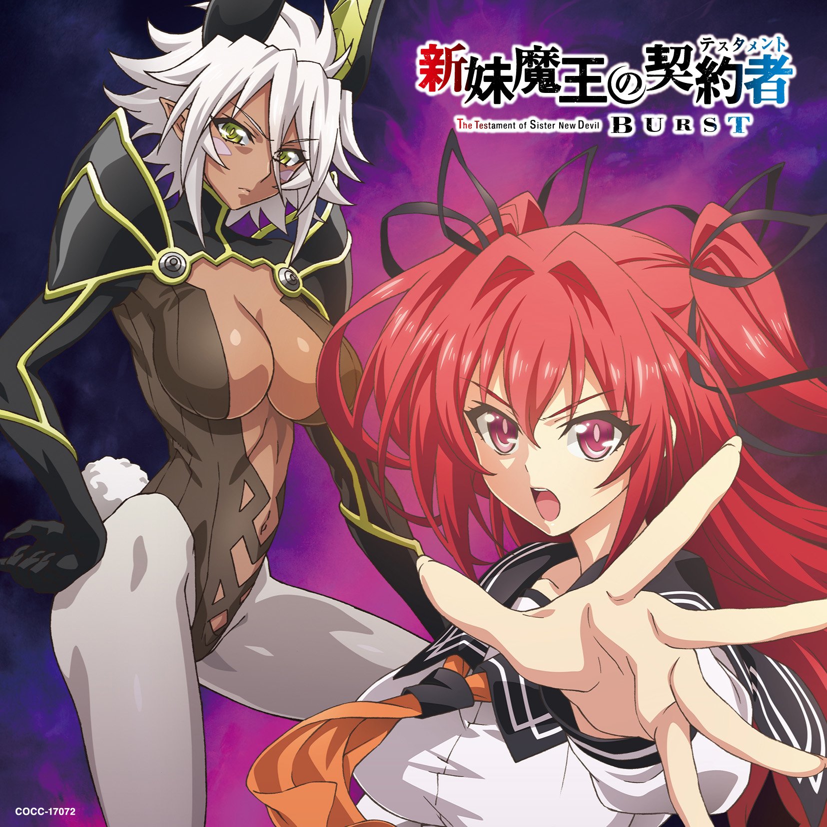 Amazon.co.jp: TVアニメーション「新妹魔王の契約者(テスタメント