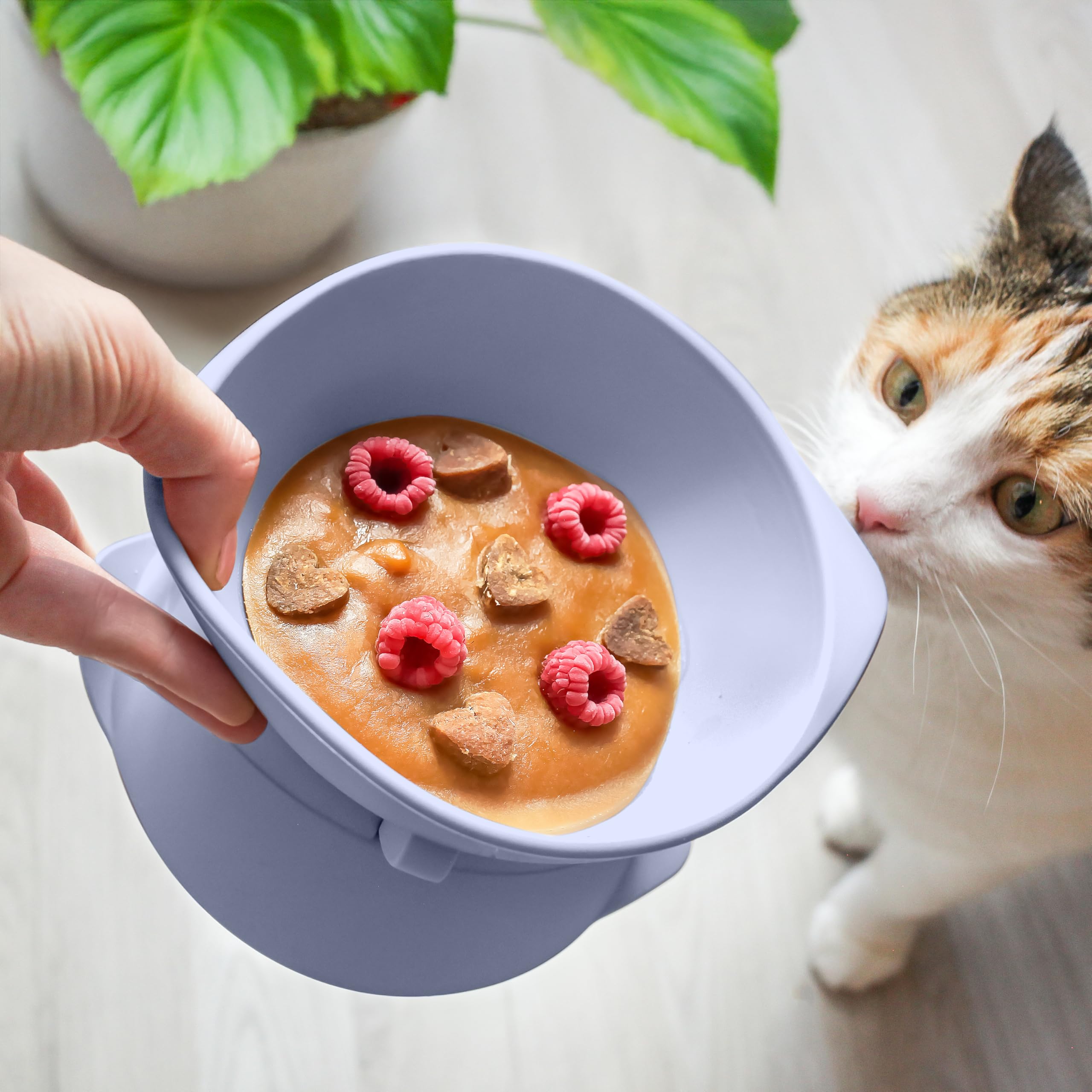 ne&no® Silicone Cat Bowl Raised with Adjustable Tilt, Steel blue - Image 2