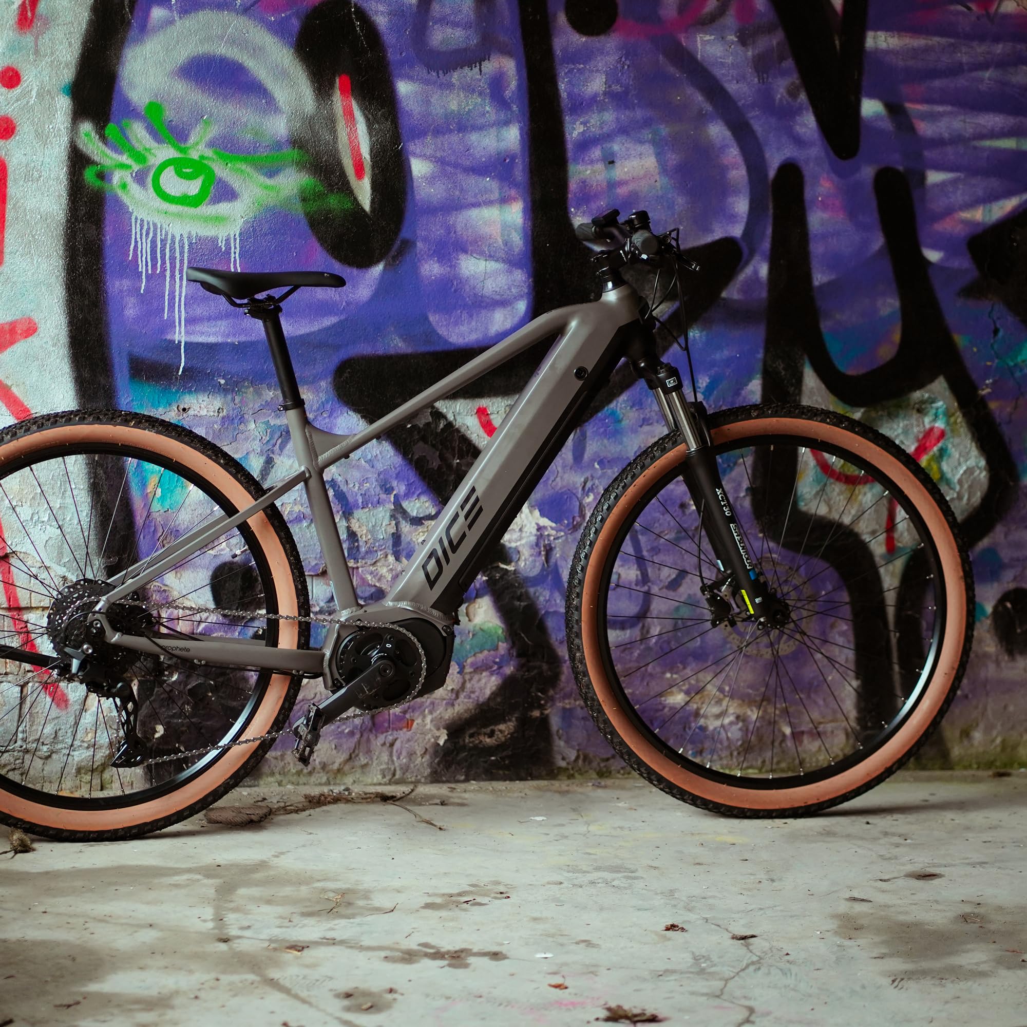 Prophete DICE 3.0 E-MTB 29" – AEG 36V Mittelmotor 250W, Shimano 10-Gang Kettenschaltung, 110 km Reichweite, Suntour XCT Federgabel, Hydraulische Scheibenbremsen, MTB Sattel, Grau/Schwarz
