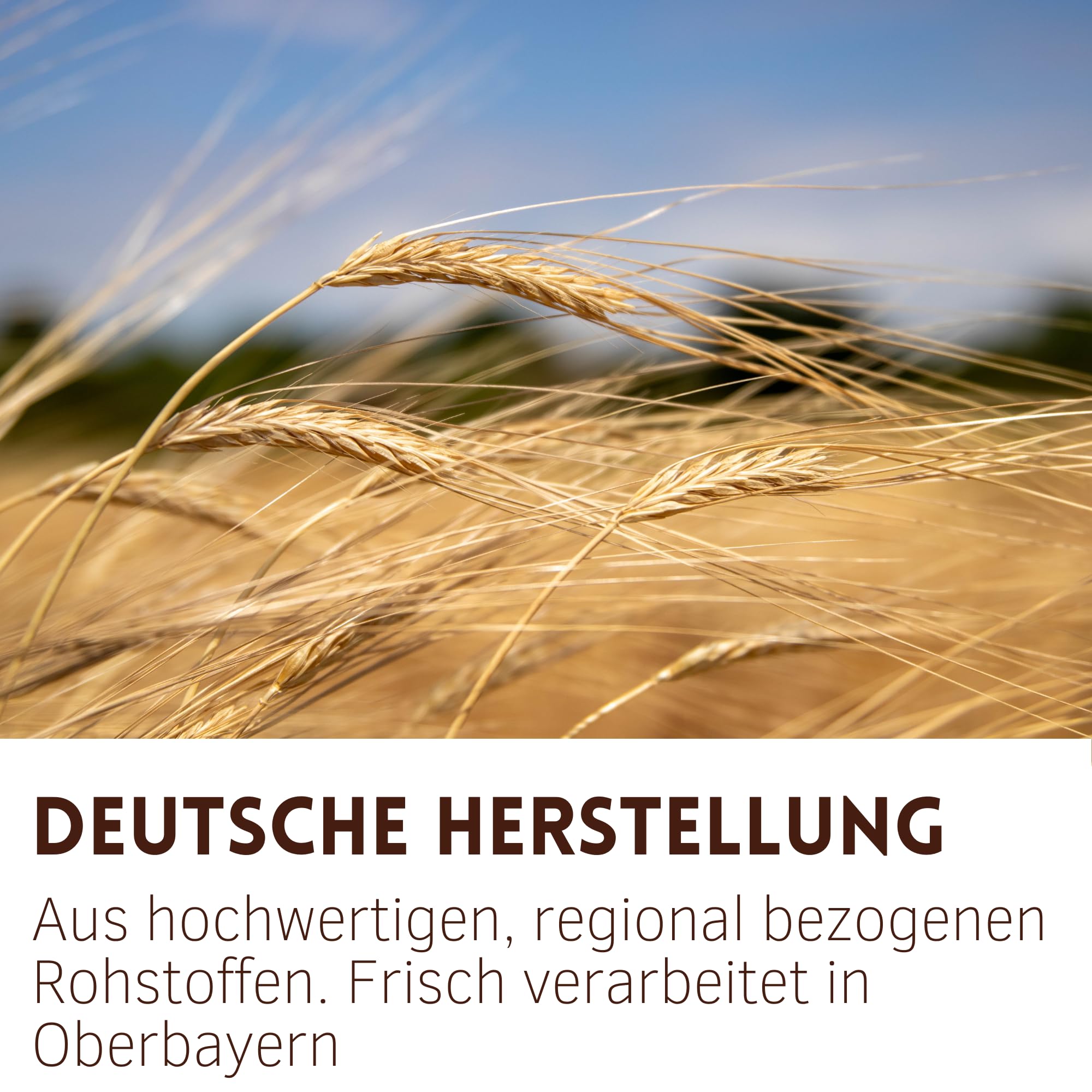 Supravit 20kg Hafer gequetscht | frischer Walzhafer | Energie & Kraftfutter Pferd & Pony I leicht verdaulich & gut verträglich I Wird erst gewalzt kurz vor Versand