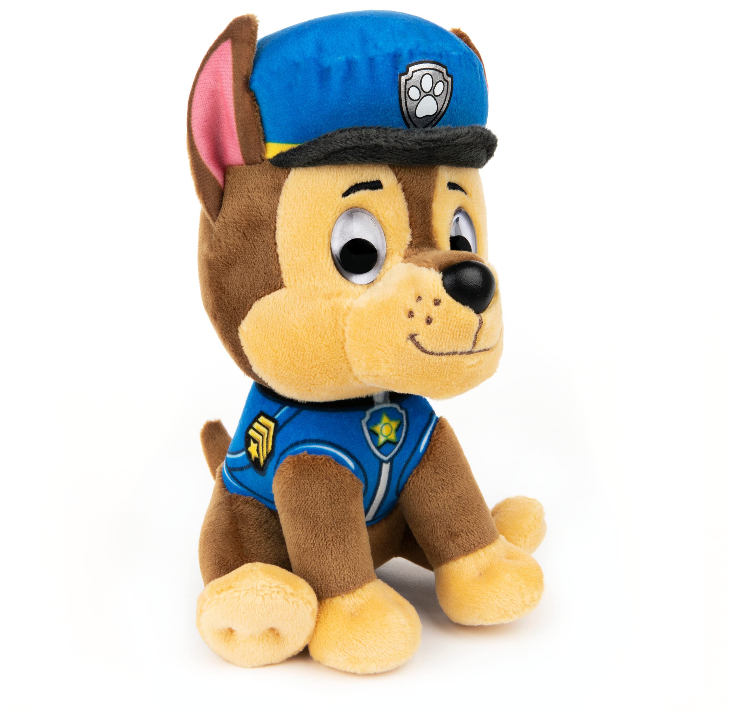 paw patrol officer