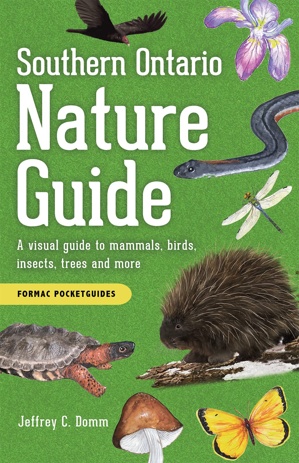Southern Ontario Nature Guide: A visual guide to mammals, birds, insects, trees and more (English and English Edition)