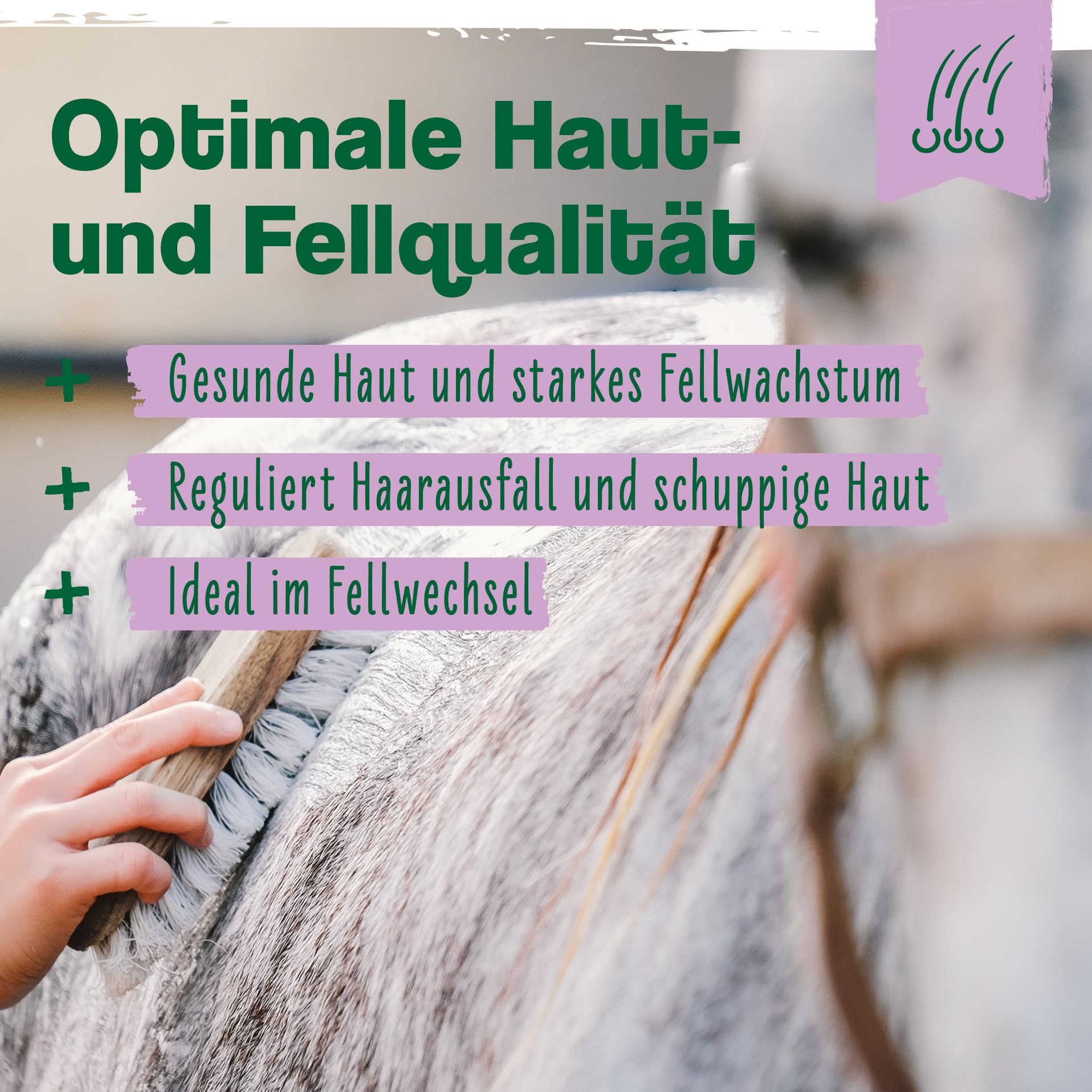 Ida Plus Biotin + Zink - Rundumversorgung – hochdosiert – VERGLEICHSSIEGER – Premium Zink für Pferde - verbessert Hufqualität - für Haut, Fell & Immunsystem - bei Mauke, Hufproblemen & mehr - 750g