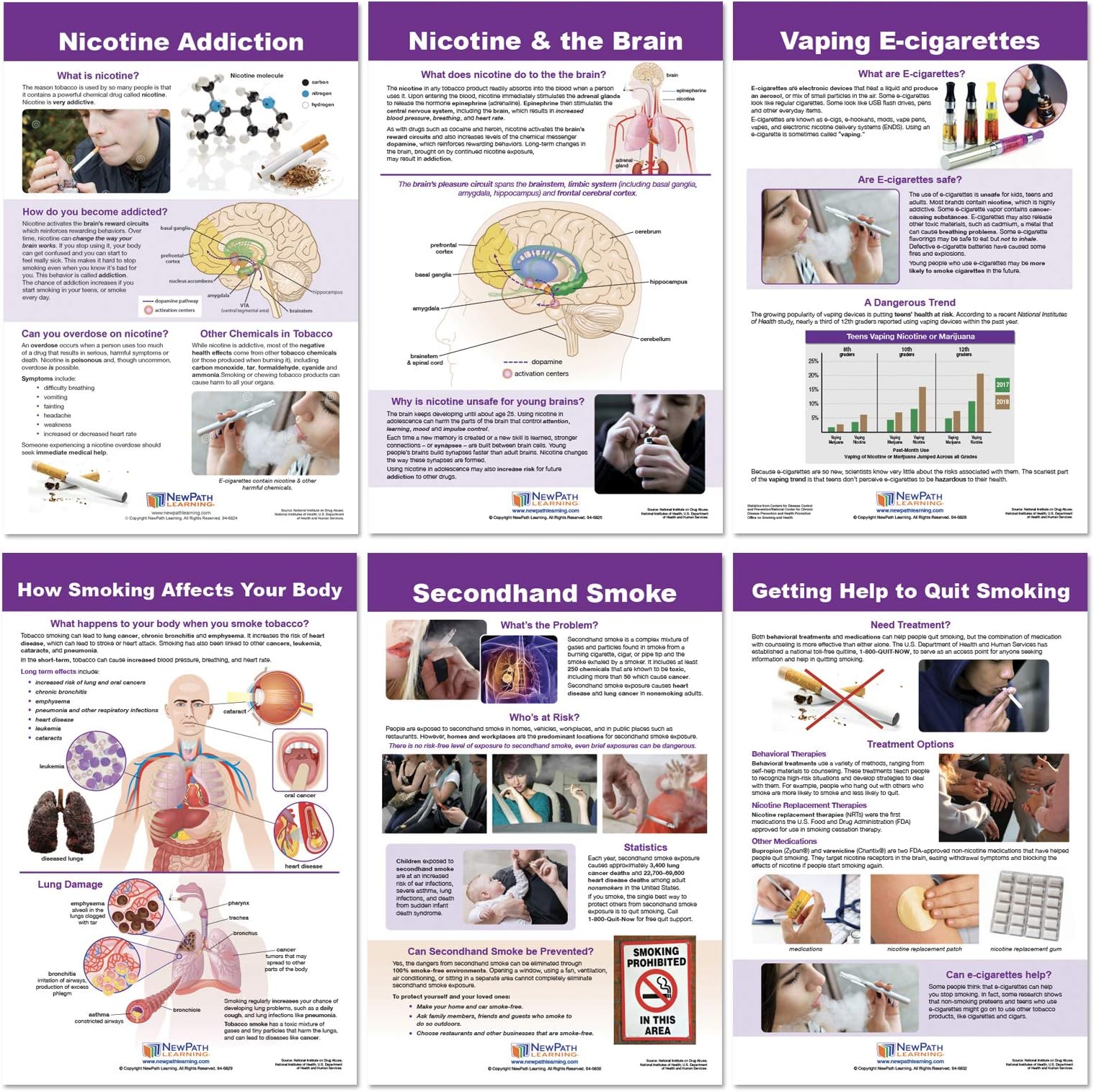 NewPath Learning Effects of Smoking & Vaping Bulletin Board Charts, Set/6 - Laminated, Double-Sided, Full-Color, 12" x 18" (96-6001)