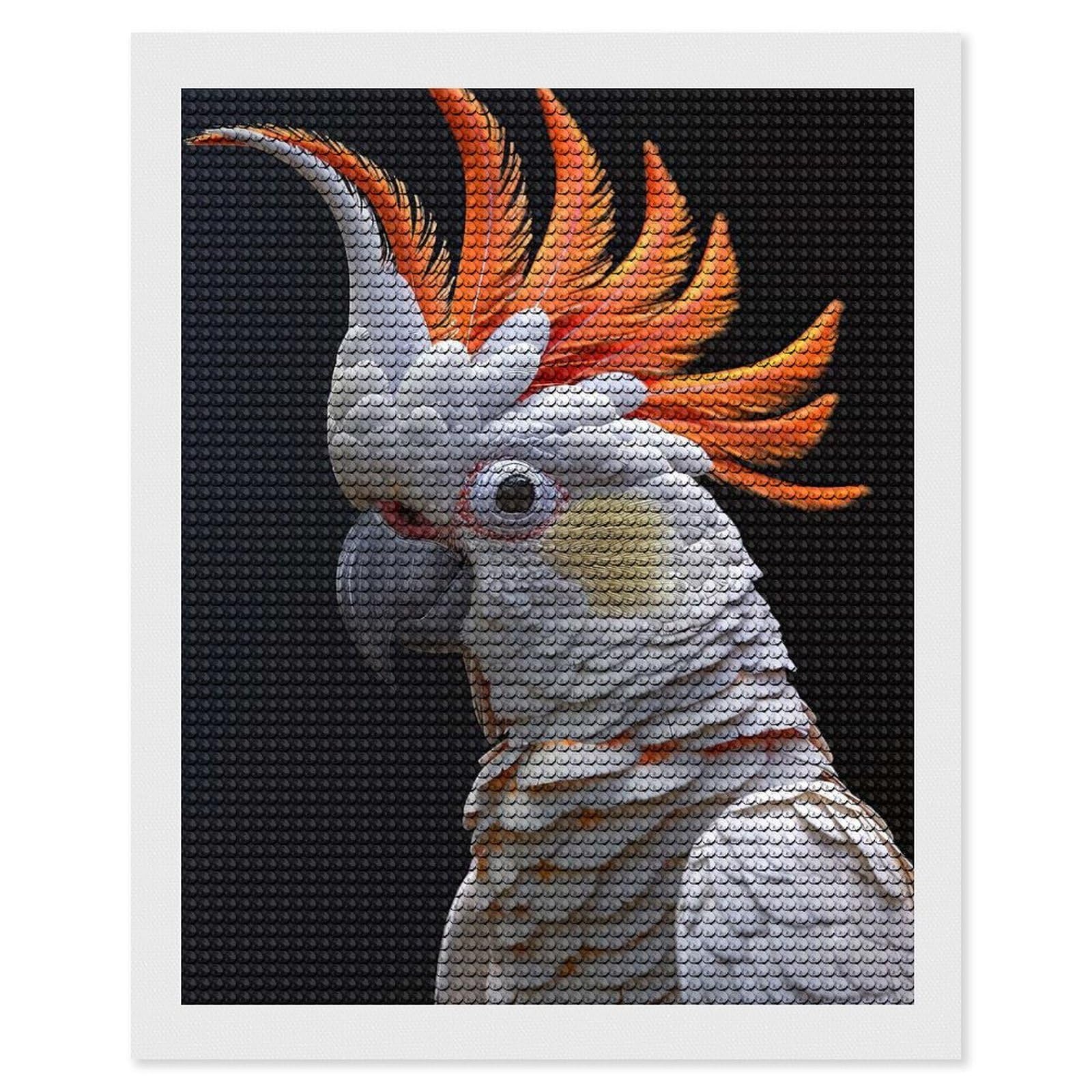 Junmoney Cockatoo DIY Diamond Art Canvas Kit 16"x20", Simple to Start, Fun Craft Experience, Modern Decor, Gift Idea, Adhesive Canvas
