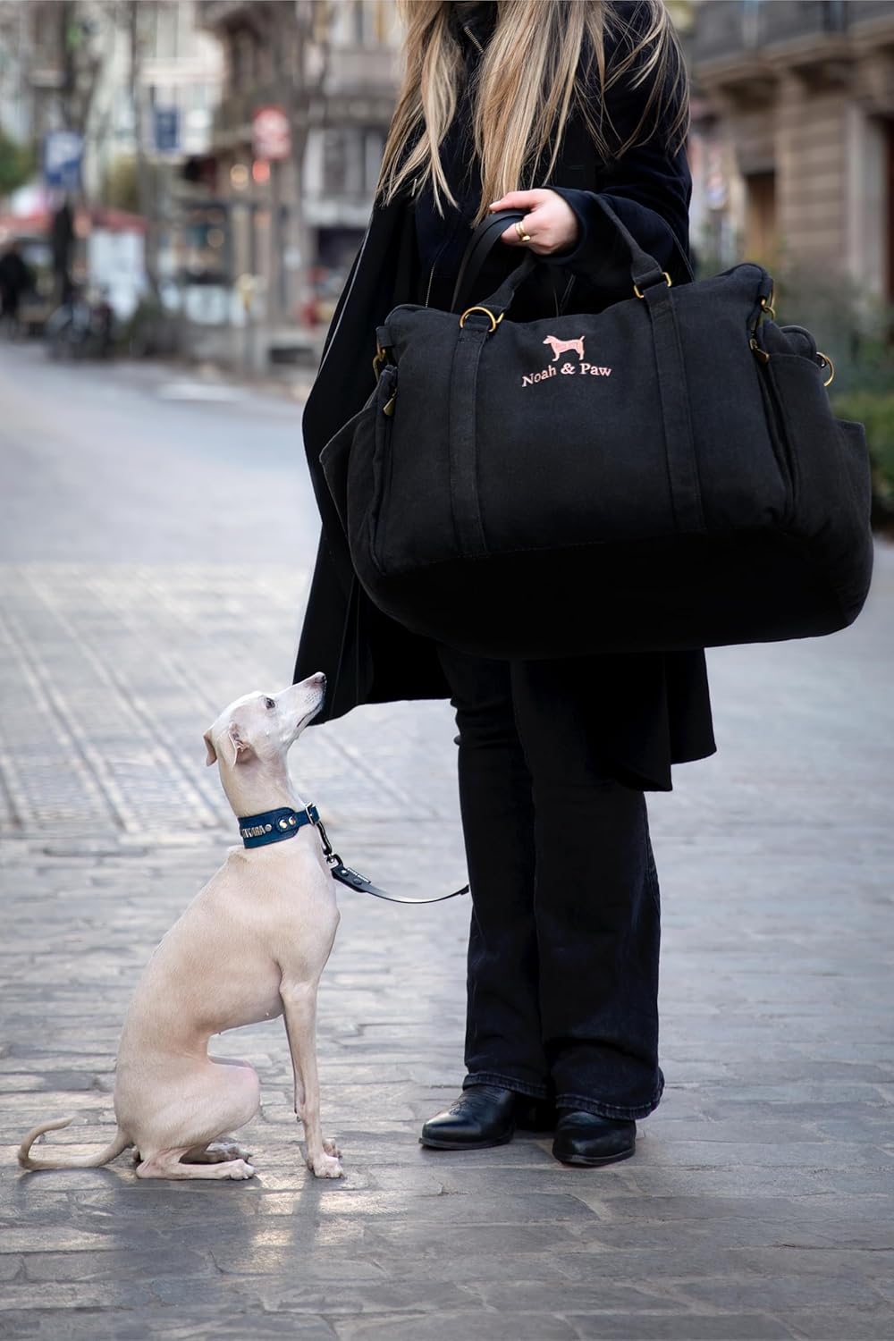 Travel in Comfort: The Ultimate Review of Noah & Paw Dog Car Seat Carrier