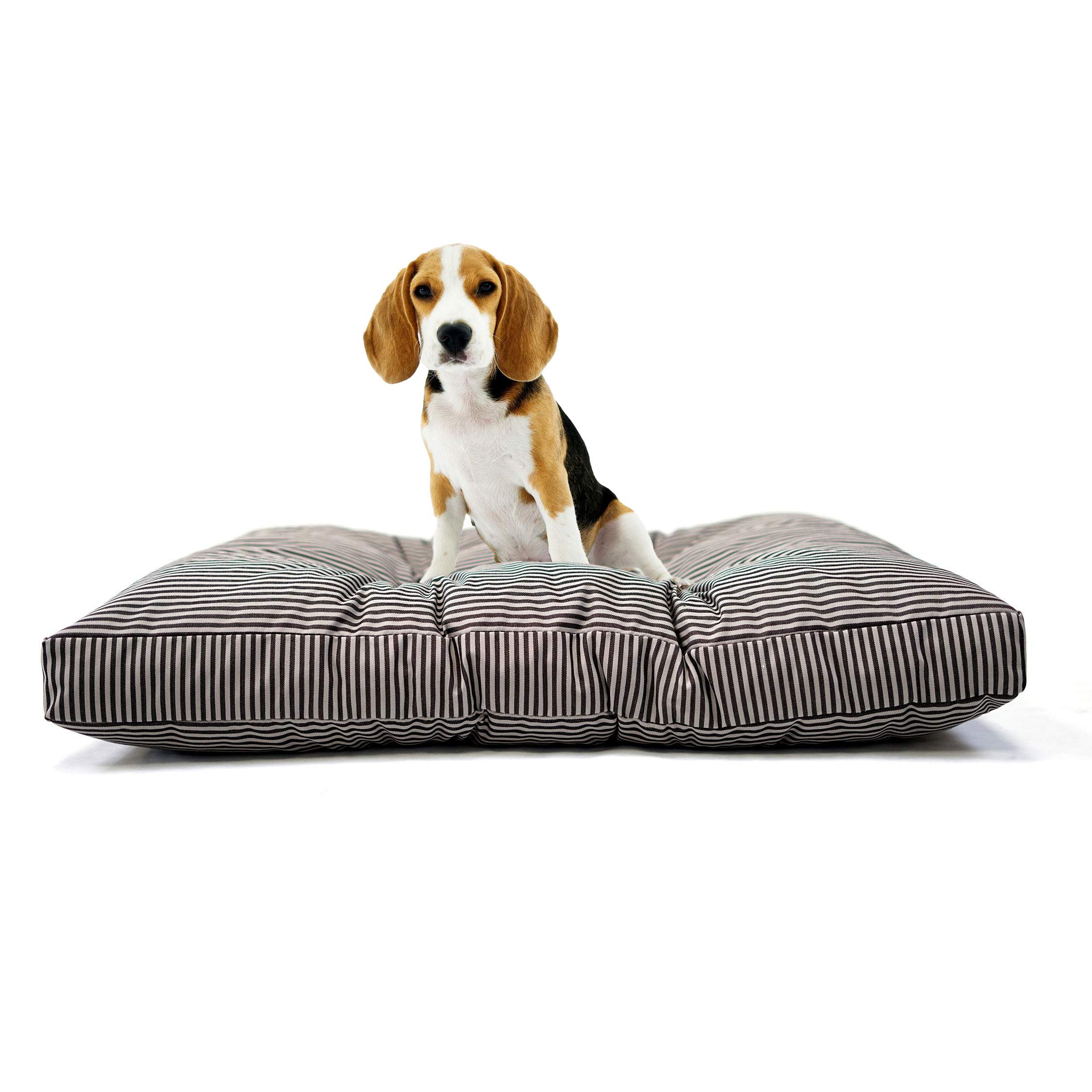 TECNOCUCI Cuscino per cani taglia media, 100% Made in Italy - Cuccia per cani interno - Facilmente lavabile