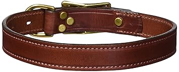 Mendota Products ME13218 Pet Standard Dog Collar, 1