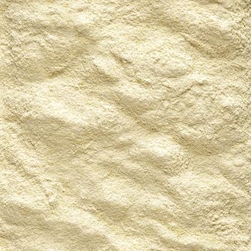Versele-Laga NutriBird A19 | 250 جرام | طعام تربية يدوي للببغاوات ذات الذيل الأحمر الرمادي وببغاوات الإكليكتوس | لدعم النمو | مع البريبايوتكس والإنزيمات الهضمية