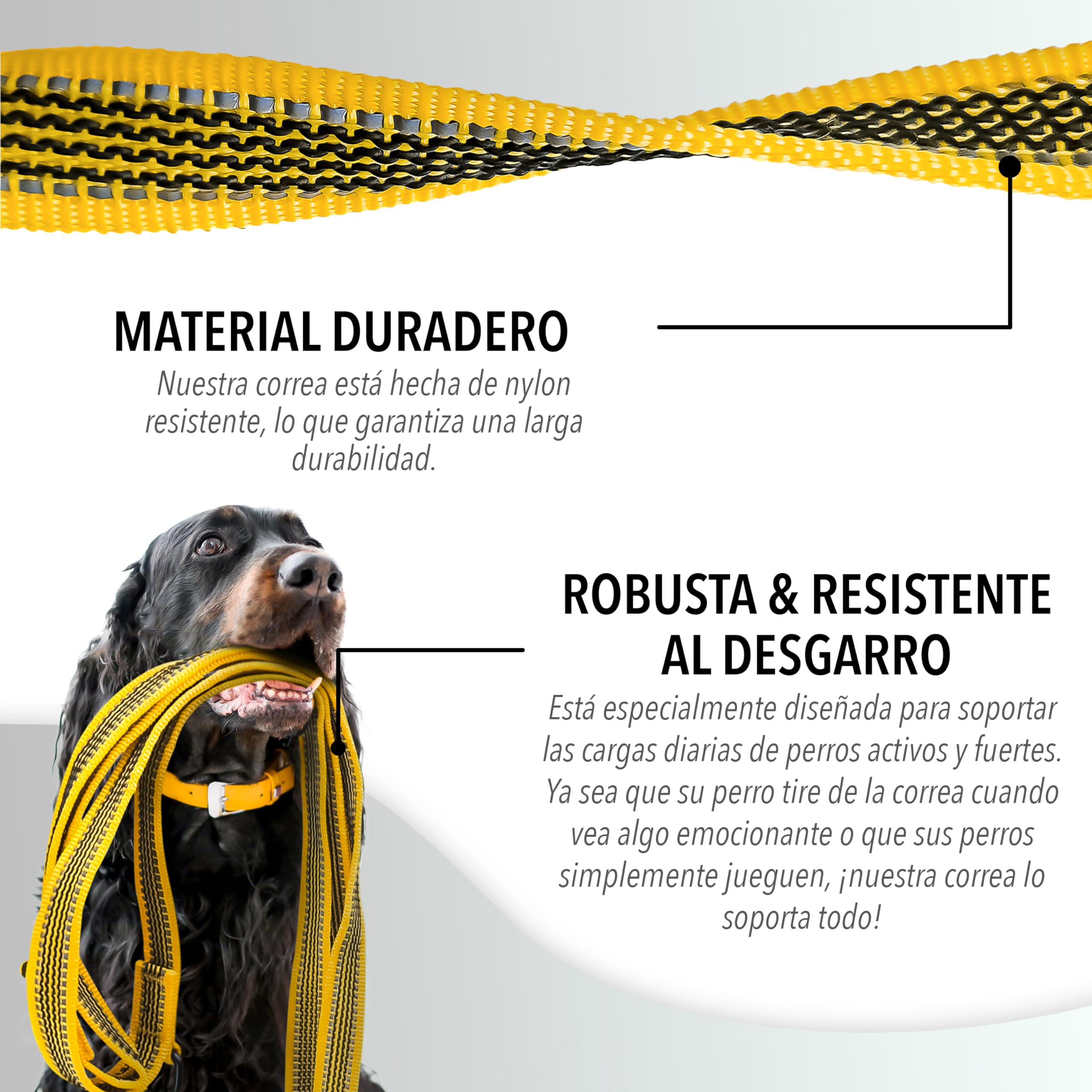 7 Deas De Correas Para Perros | Correas Para Perros, Accesoros Para Perros, Perros