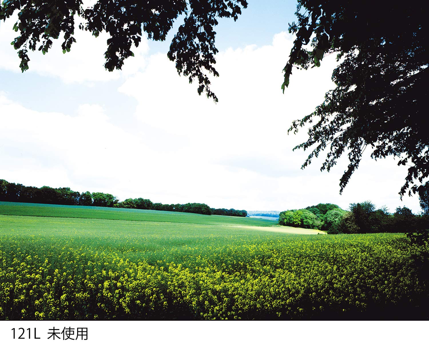 Cokin X121L Grad Grey G2 LT (ND2) Square Filter - Image 3