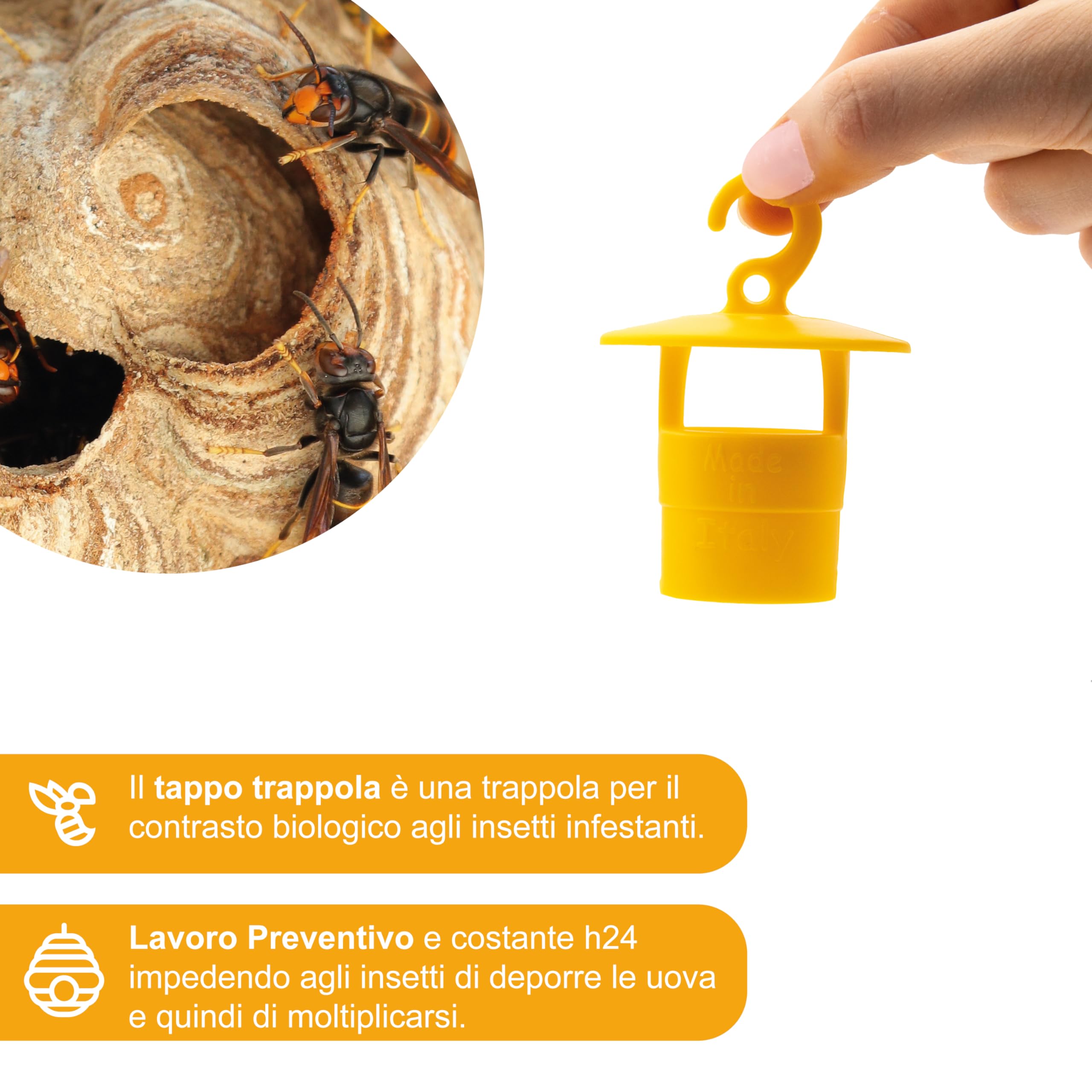 AGRI-CULTURA® |Tappo Trappola Biologico Contro Insetti Infestanti【10 PZ】Esca Trappola Contro Mosca dell'ulivo, Vespe, Calabroni, Cimice Asiatica, Drosophila Suzukii, Popilia Japonica e altri insetti.