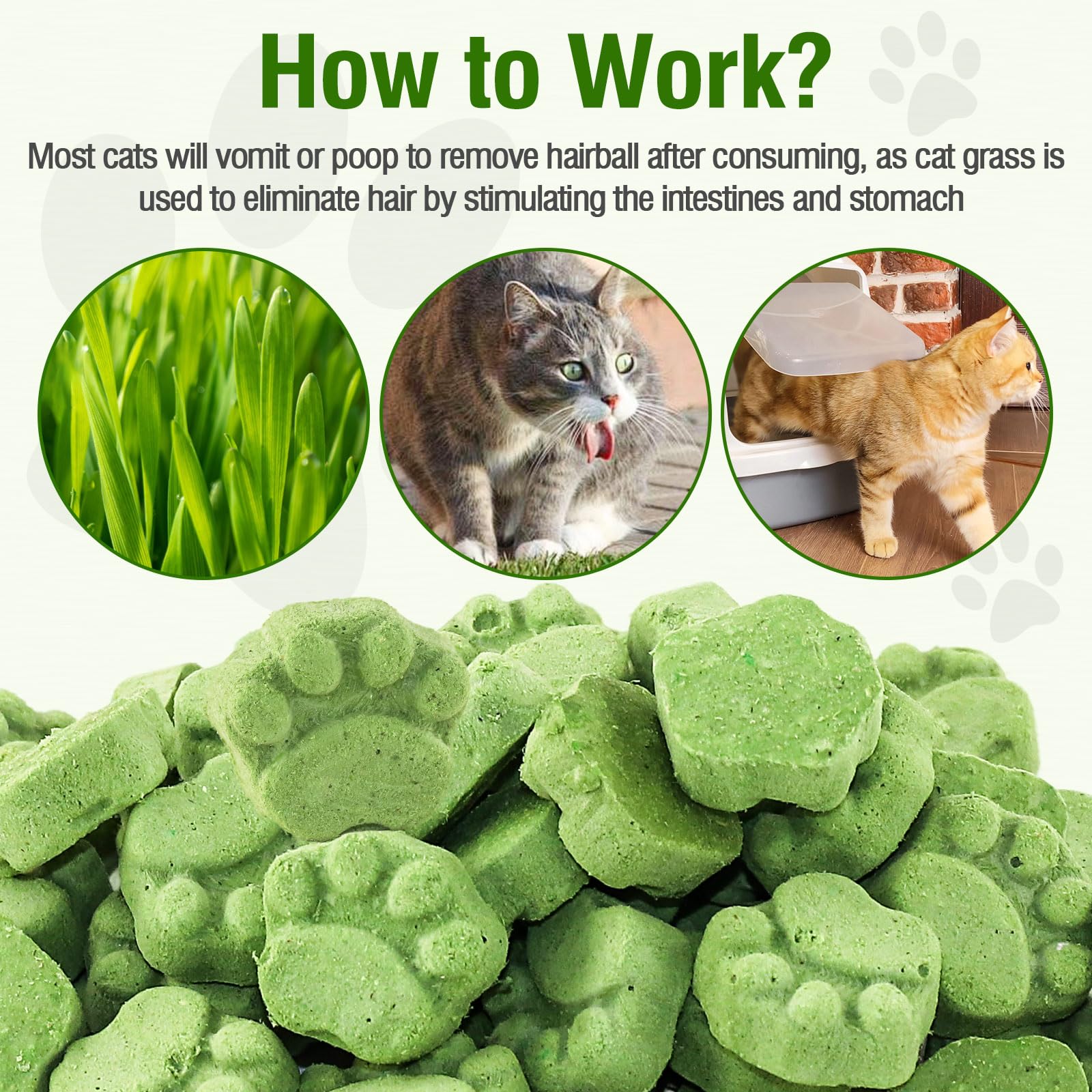 100g Bastoncini di Erba for Gatti, Snack per Gatti Erba da Gatto, Giocattolo Dentale per Gatto, Liofilizzato con Erba Gatta per la Pulizia dei Denti