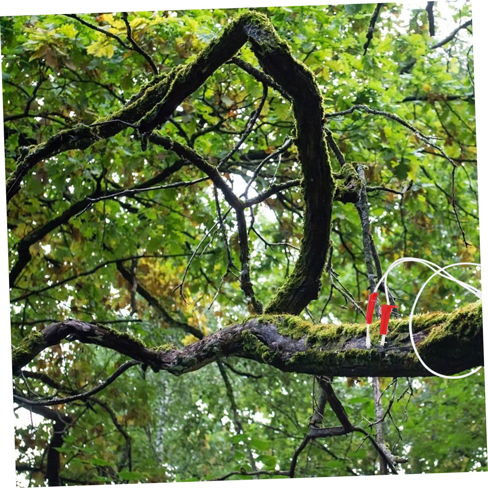 Baumbewässerungsrohr 4er Set - Automatische Tropfbewässerung Für Bäume