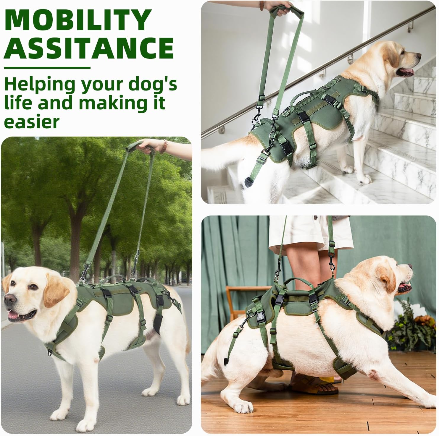 PUPTECK Dog Lift Harness for Medium Large Sized Dog, Rehabilitation Sling for Hind Leg Support, Multifunctional Mobility Assistance Harness for Old, Disabled, Joint Injuries, Paralysis Dogs, Green M