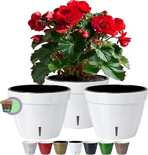 Santino ASTI Set of 3 18cm Self Watering Flower Pot with Water Level Indicator - Round Premium Quality Indoor Plant Flower Pot for Plants, Flowers, Herbs ( 18cm, H 14cm, 2.5L - White/Black)