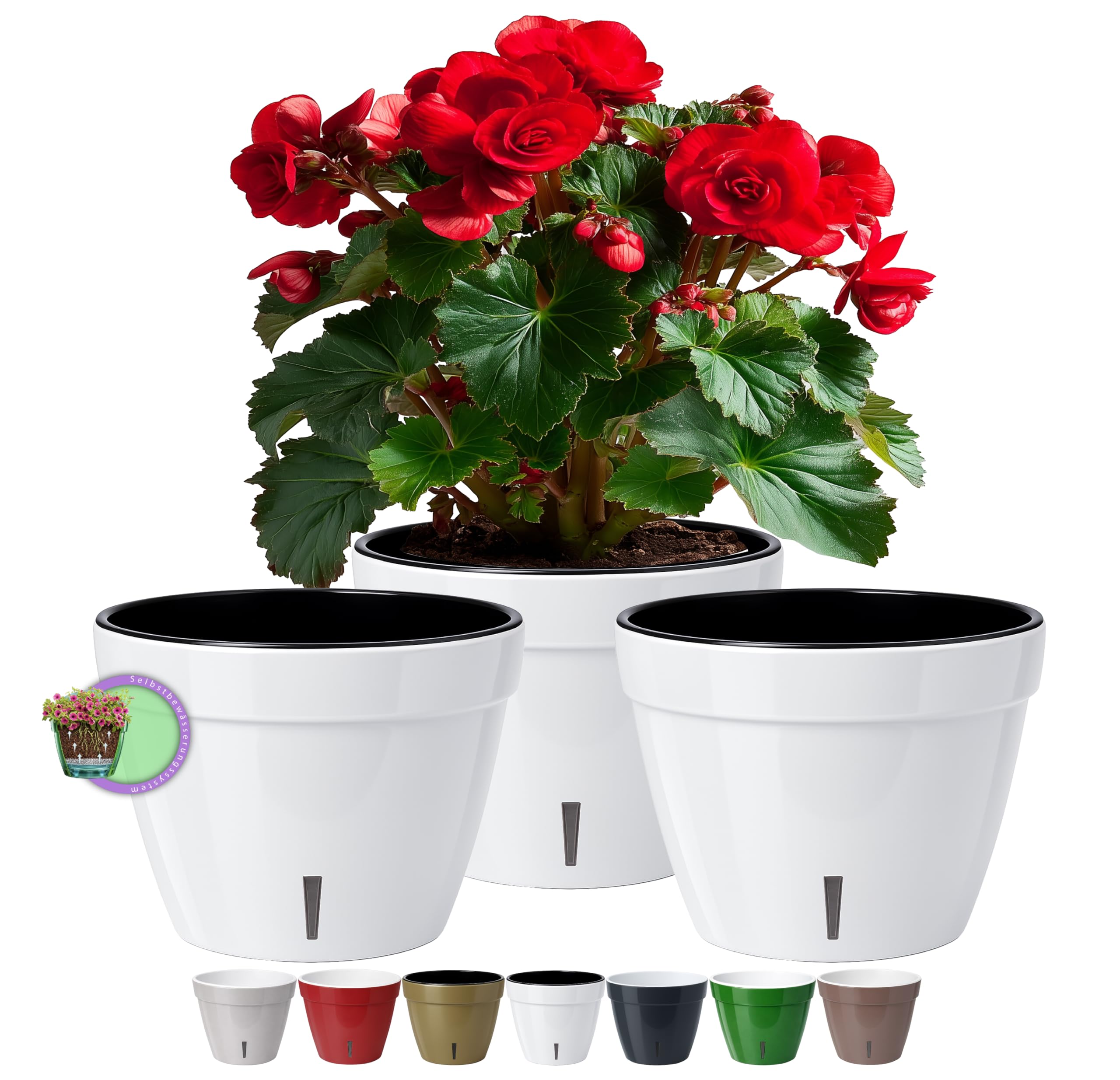 Santino ASTI Maceta de Riego Automático con Indicador de Nivel de Agua, Redonda, para Plantas, Flores, Hierbas (Ø 18 cm, Altura 14 cm, 2,5 L, Rojo/Blanco) — view 20