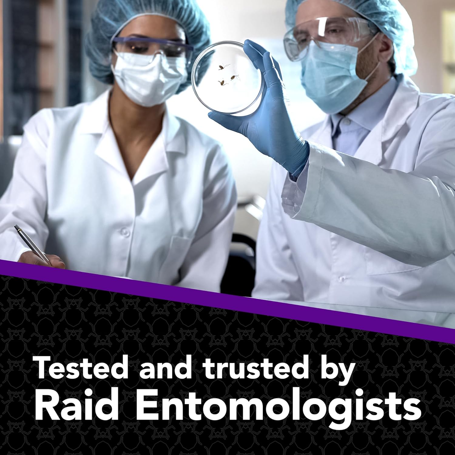 Raid Max Foam Bed Bug 17.5 Ounce (Pack of 2)