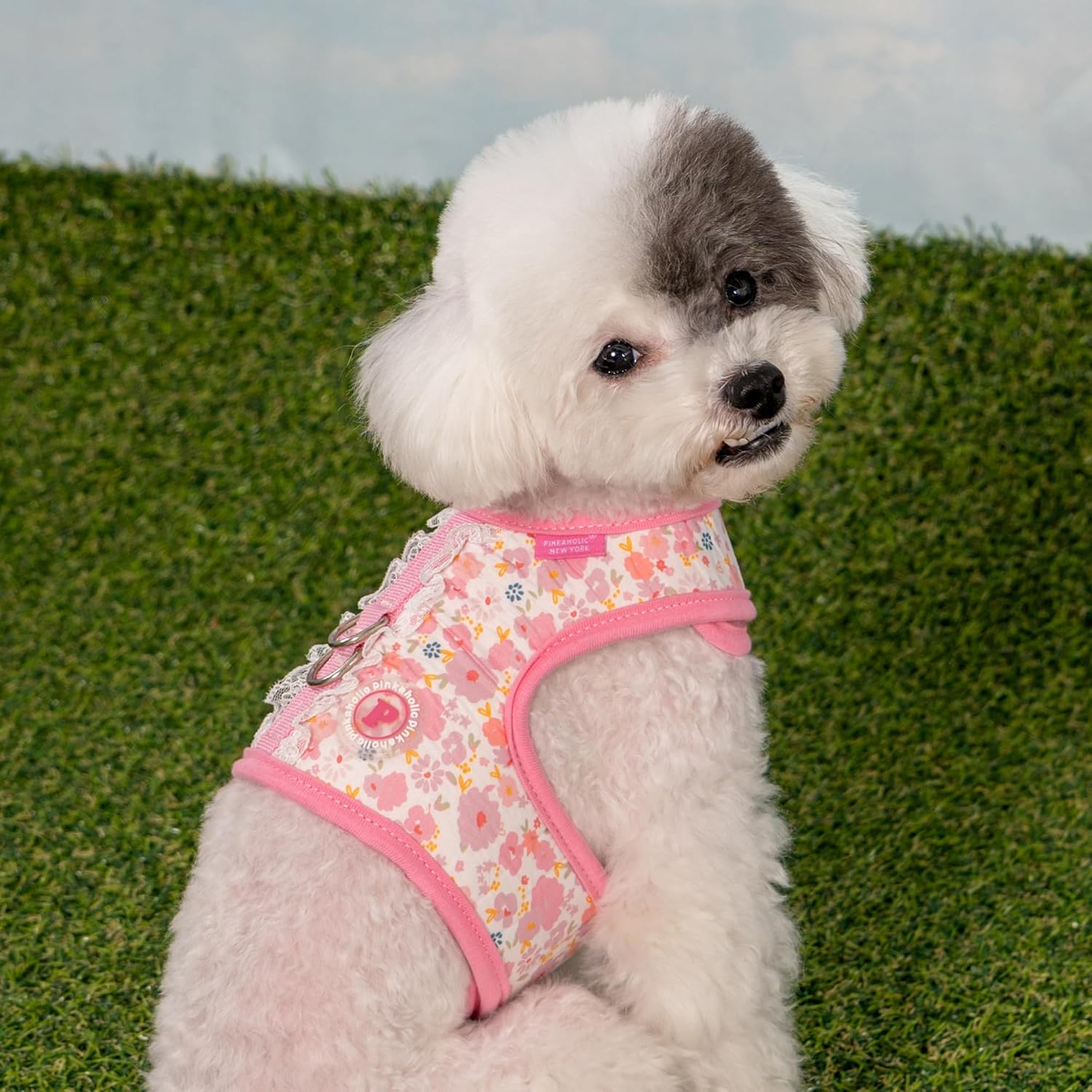 Pinkaholic New York Amabel Jacket Dog Harness Flower Pattern Fashionable Cute Spring Summer Harness for Small Dogs, Pink, Medium