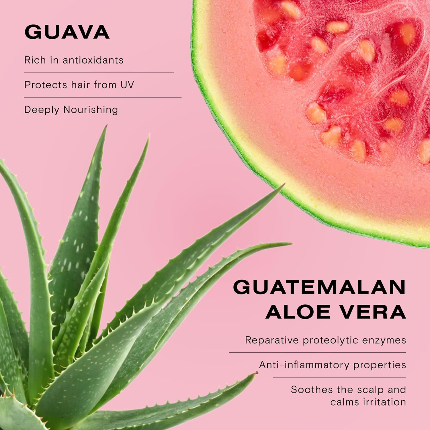Ceremonia Guava Protect & Repair Shampoo with Aloe Vera for Damaged and Color Treated Hair, 1.69 Fl. Oz. | 50 Ml. - Image 4