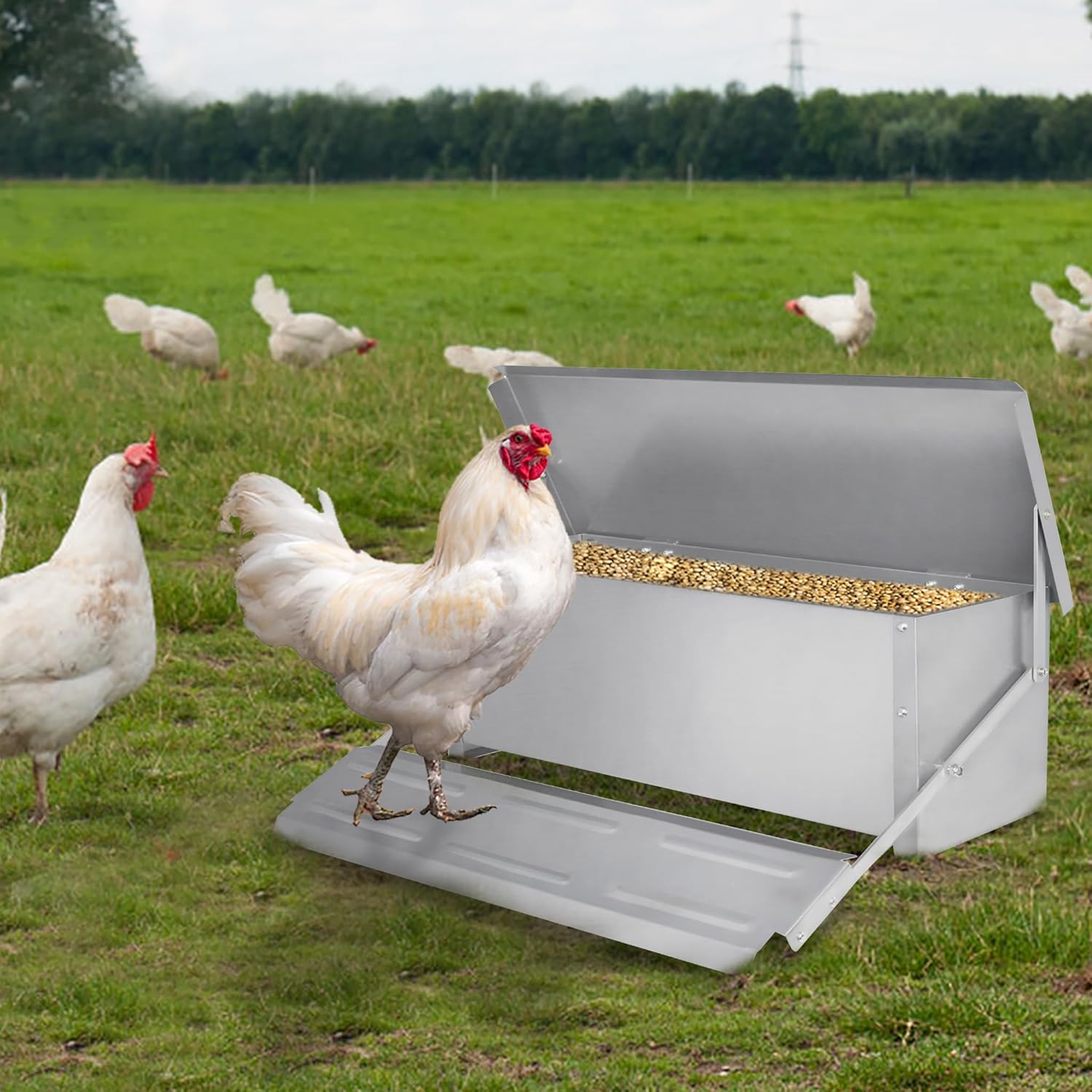 Automatischer Hühnerfutterautomat - 10lbs Kapazität, 10 Futteröffnungen