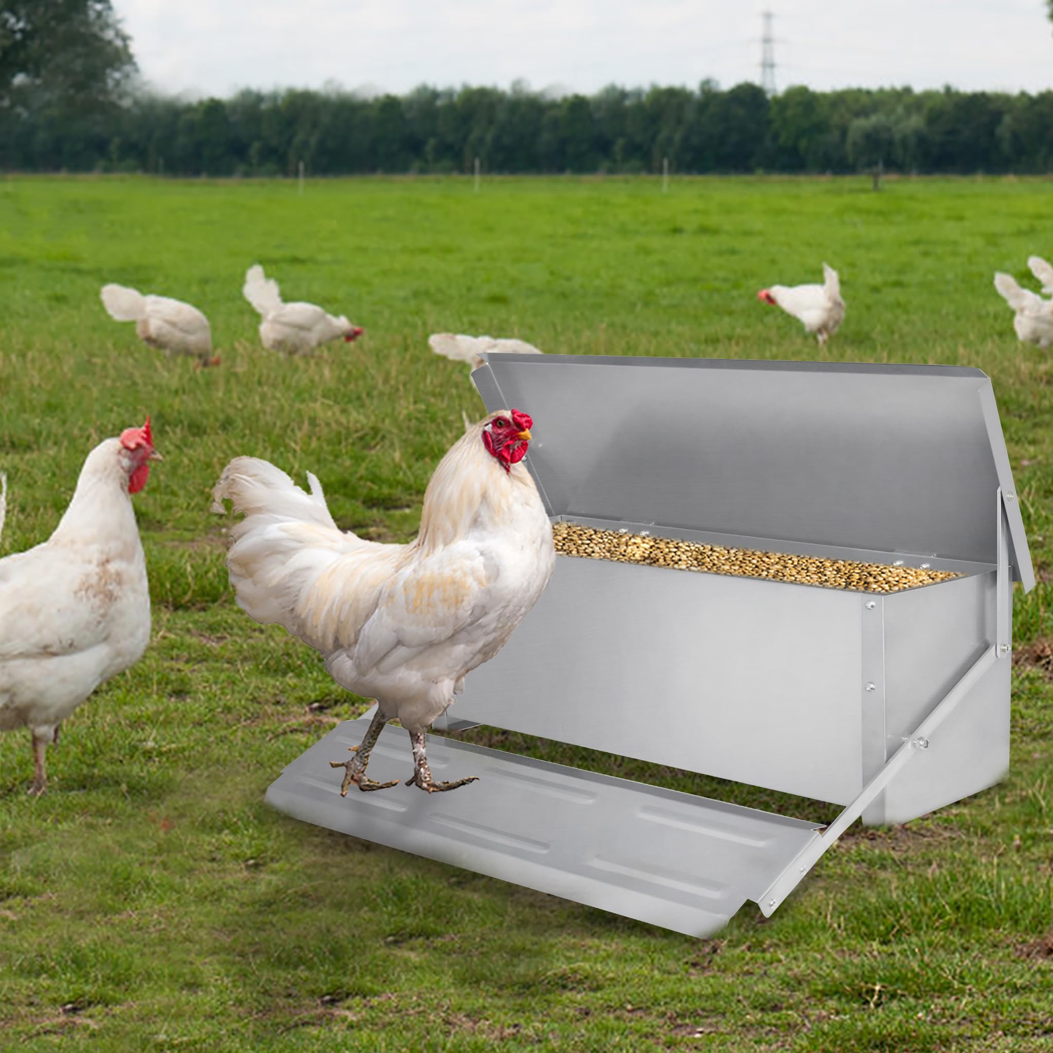 LZQ Futterautomat Hühnerfutter Automat 10 kg, Geflügelfutterautomaten Hühnerfutterautomat Aus Aluminium mit Großem Fassungsvermögen,Anti-Nagetier,Wasserdicht Anti-Rost（2 Packung）
