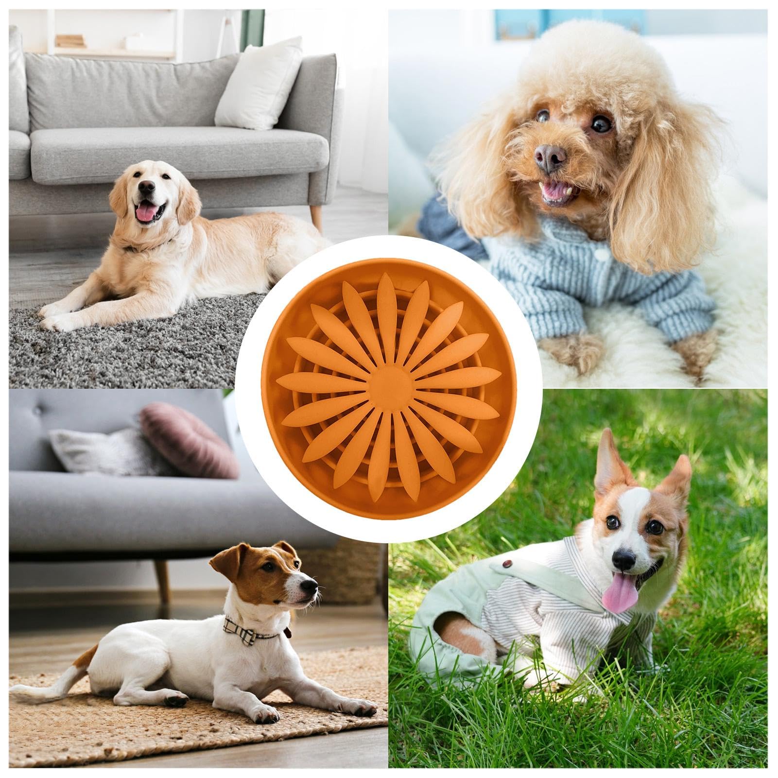 Comedero automático para Gatos， Comedero Lento for Perros - Antideslizante for y Otras Mascotas(Orange)