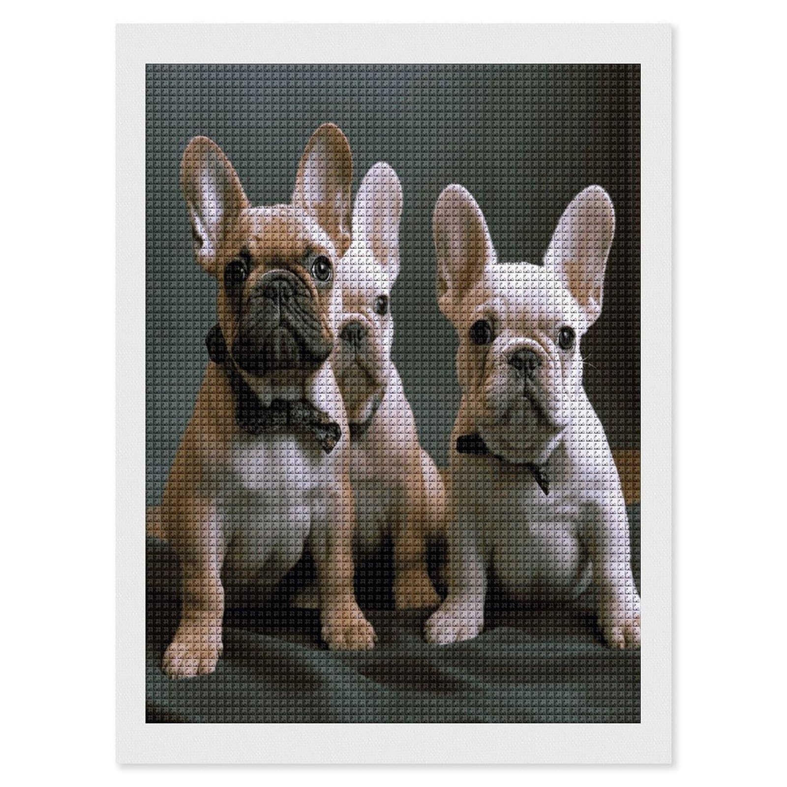 FodPand French Bulldog Puppies Diamond Painting Kit for Beginner Fun 5D DIY Crafts for Adults Diamond Art Kits Square Diamond Art Canvas Painting Gem Art Crafts for Home Wall Decor 12"x16"