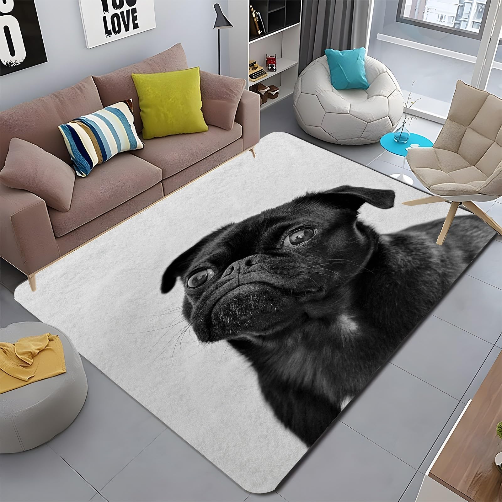 Amazon.com: Pug Rug & Home Decor, Front Door Mat Indoor Entrance