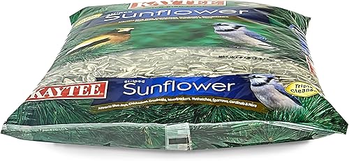 Miniatura 9 de Kaytee Alimento para pájaros silvestres de girasol a rayas 5