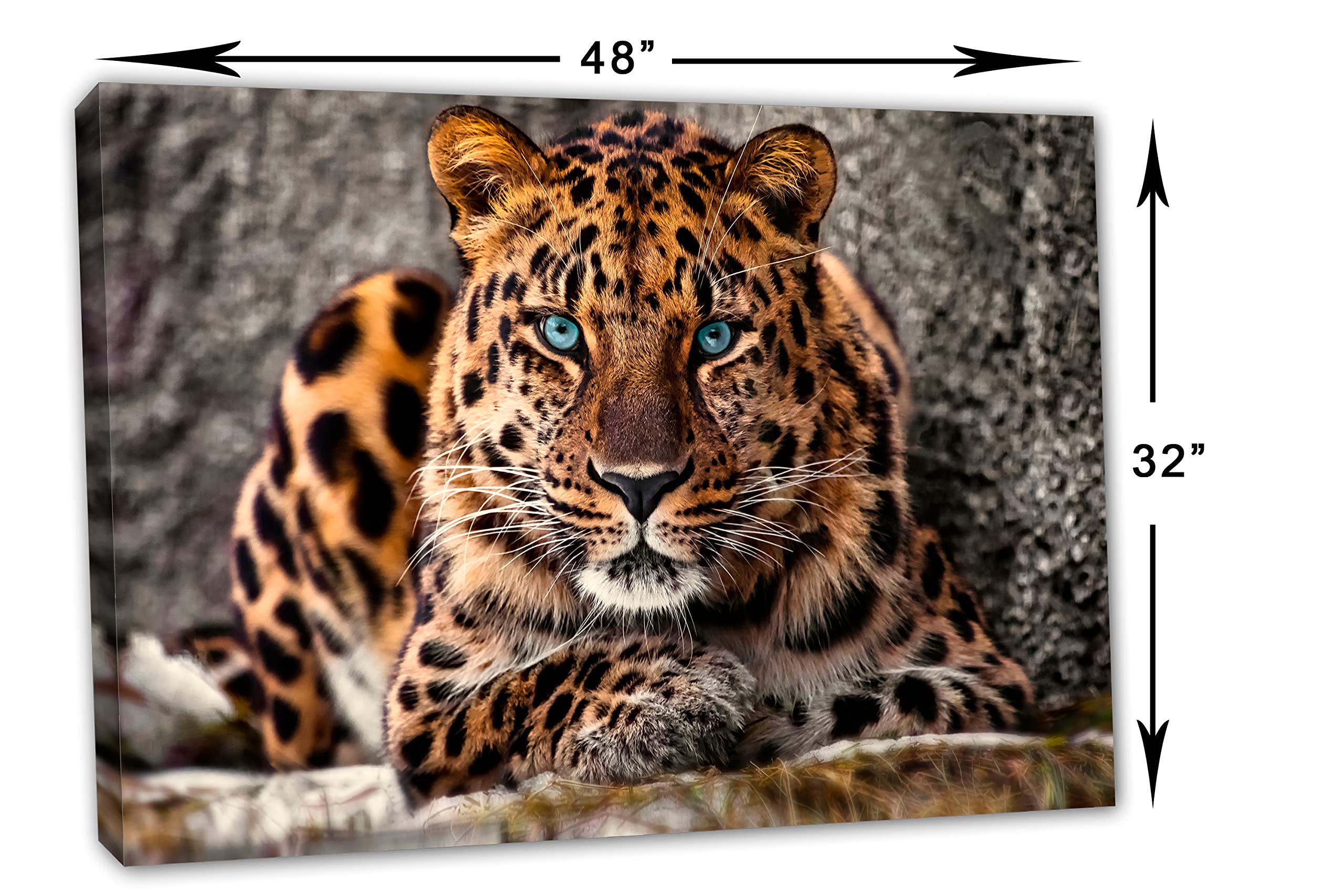 キャンバスアート　2,5D 35cm×53cm Amazon.com: 48 x 32 - Amur Leopard Canvas Print Wall Art blue eyes