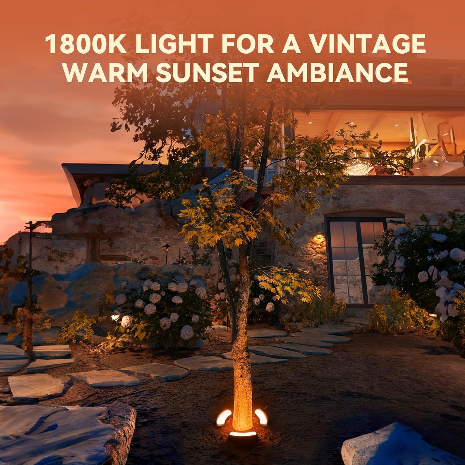 LEONLITE Update 5CCT Low Voltage Landscape Tree Ring Lights, AC/DC 12-24V, 750LM 11W/PCS Aluminum IP65 Landscape Spotlights for Big Tree&Palm Tree, 1800K/2700K/3000K/4000K/5000K, Pack of 3