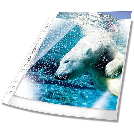 100 Buste Forate A4 Trasparenti - Per Cataloghi E Documenti, Lucide, Apertura Superiore, Spessore 80my