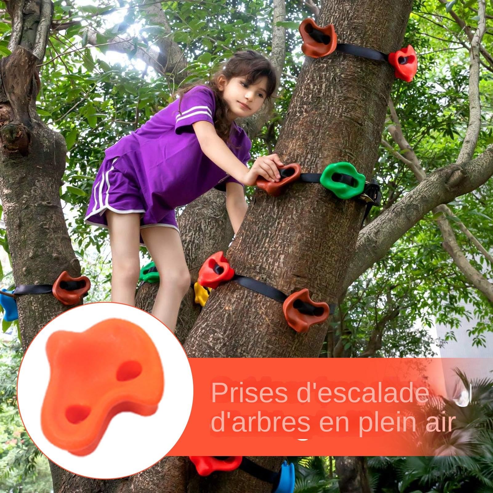Presas de Escalada para niños Escalera de Práctica Infantil y Juvenil