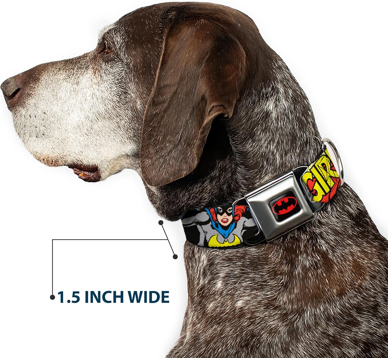 Buckle-Down Seatbelt Buckle Dog Collar - BATGIRL in Action w/Face CLOSE-UP - 1" Wide - Fits 11-17" Neck - Medium