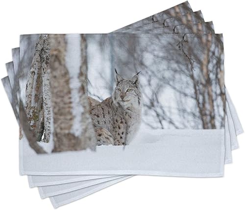 Miniatura 195 de Ambesonne Juego de 4 manteles individuales amarillos y azules, diseño de flores de primavera, flores vibrantes, manteles individuales de tela Azul