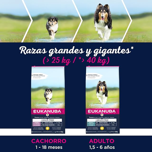 Foto 4 de 5 de EUKANUBA Grain Free Alimento para perros adultos de razas grandes y gigantes, rico en pollo, 12kg