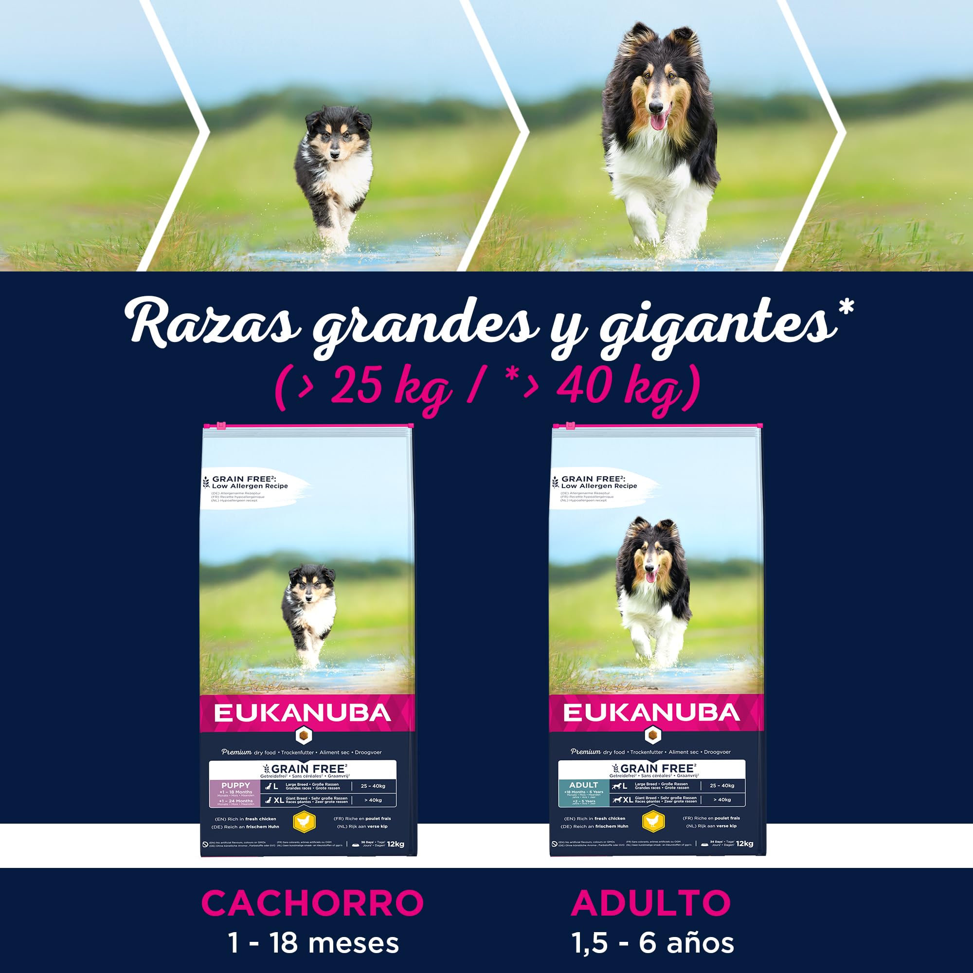 EUKANUBA Grain Free, Alimento para Cachorros de Razas Grandes y Gigantes, Rico en Pollo, 12kg